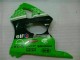 Abs Carenagem Kawasaki ZX6R 2000-2002 - Verde Preto